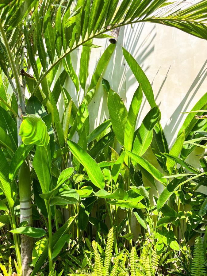 Las Flores Lombok Kuta  ภายนอก รูปภาพ